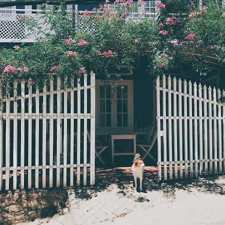 Nha Tim Homestay Да Лат Екстериор снимка