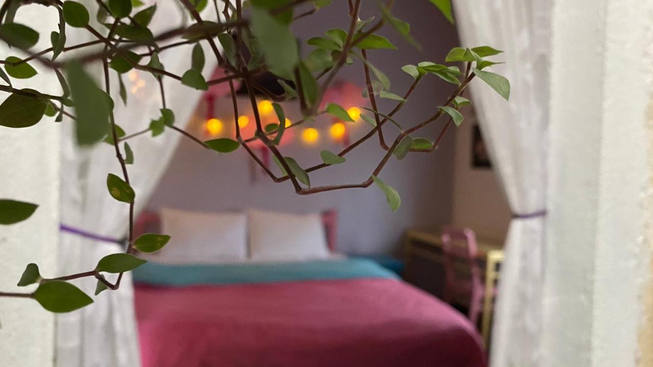 Nha Tim Homestay Да Лат Екстериор снимка